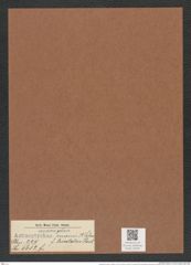 Actinoptychus truanii f. trivitatus A. Schm. (de-Toni-Nr.: Genus 227, Species 5612) Zeichnungen Sammlung Grunow Mappe 05355 (Herbarium_W_Grunow_drawings_Folder_05355)